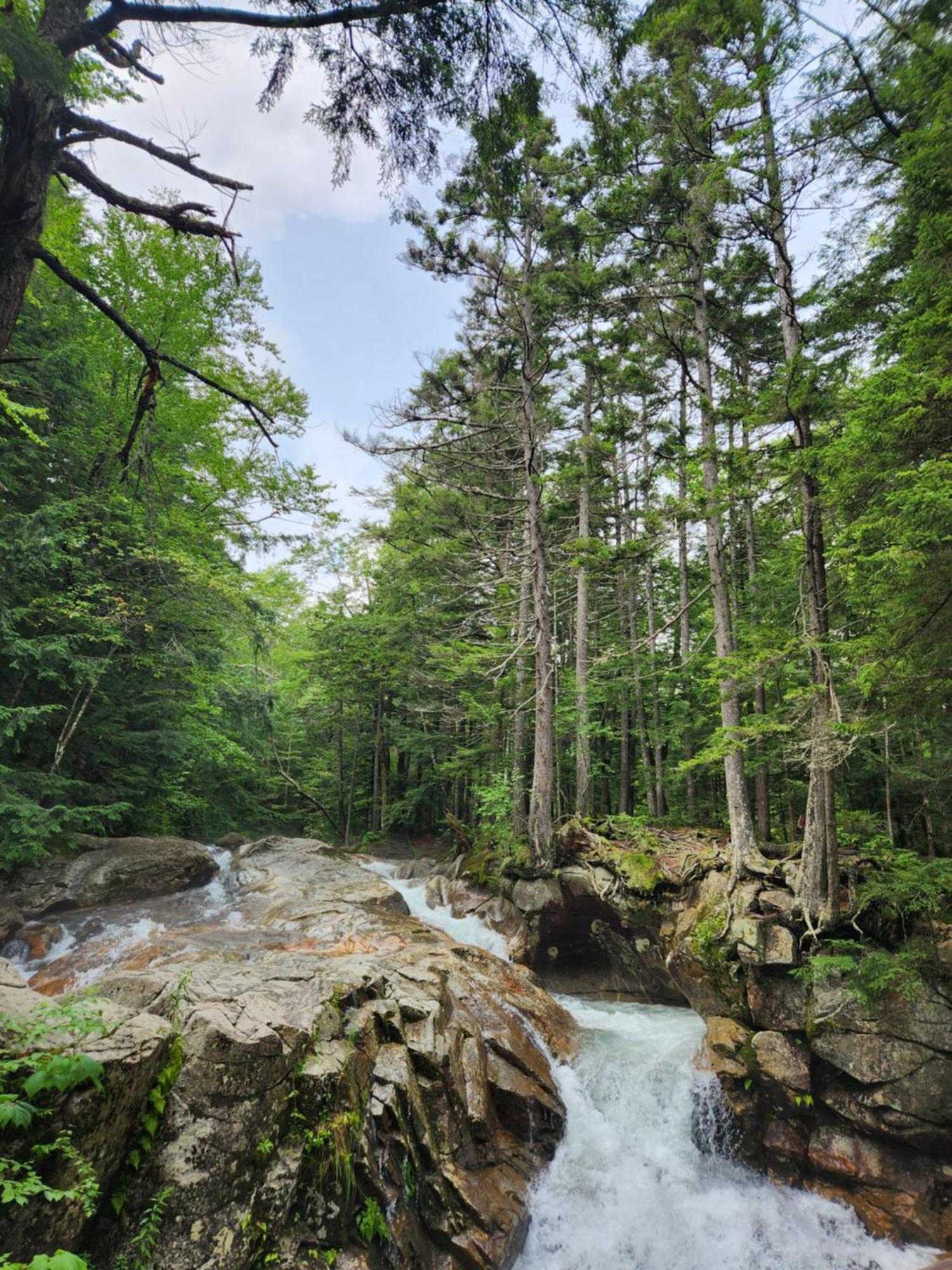 Backyard Bliss In The White Mountains Villa Lincoln Exterior foto